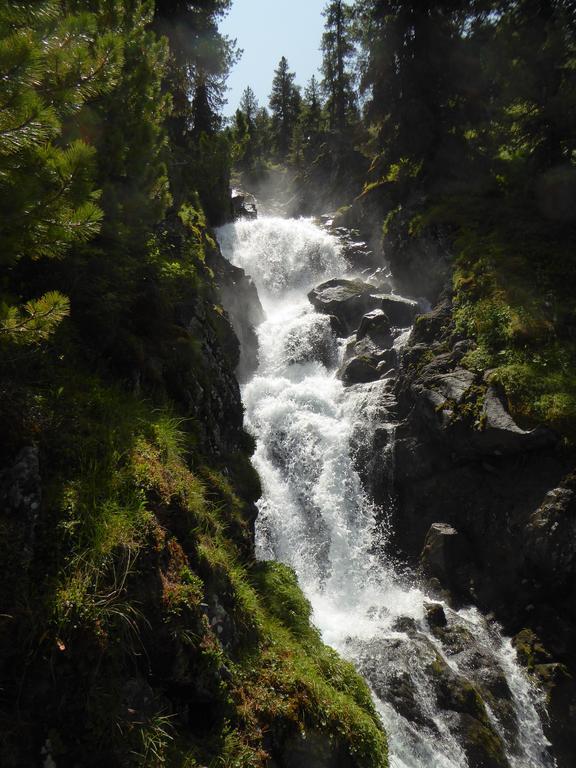 Apart Piz Mondin Pfunds Rum bild